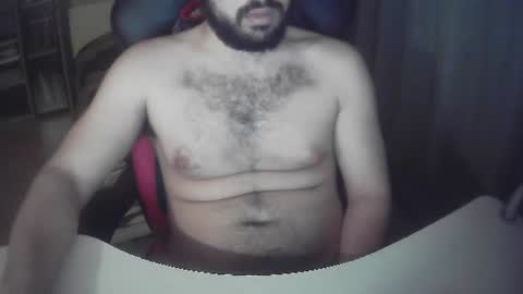 sissy_bear_ online show from 14, 6, 2026
