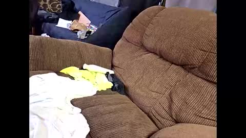 Snapshot of sissyboi124995 chatting on 11, 4, 2026 sissyboi124995 online show from 11, 4, 2026