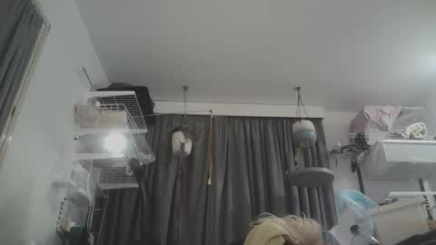 Snapshot of sissyboilooking chatting on 8, 3, 2026 RESPONDS WELL TO ... online show from 8, 3, 2026