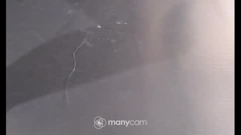 Sissyslut6111 online show from 26, 12, 2024