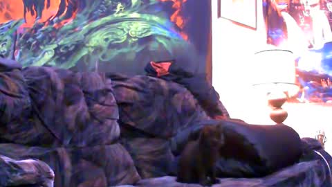 Snapshot of six_will_do chatting on 4, 1, 2025 Jimmy B online show from 4, 1, 2025