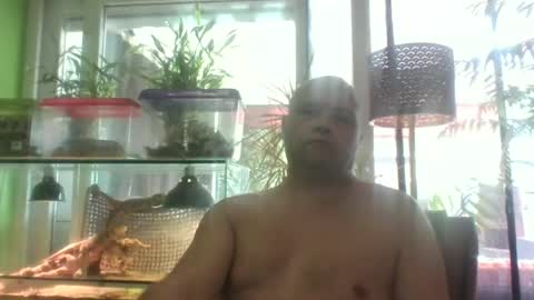 sixten113 online show from 26, 6, 2026
