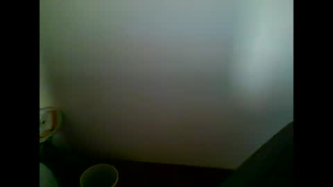 Snapshot of skater19xxx chatting on 7, 3, 2025 miguel online show from 7, 3, 2025