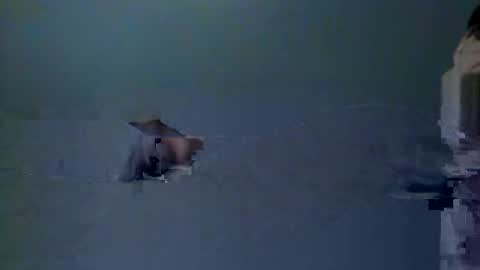 skeeter4fun73 online show from 20, 12, 2025