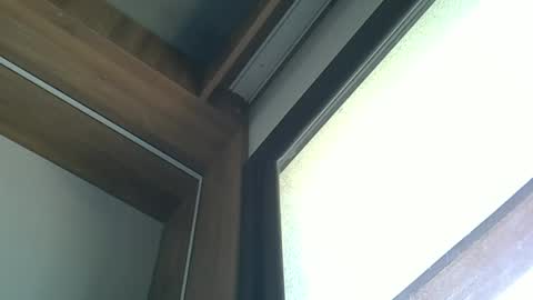 Snapshot of skinnykittencam chatting on 5, 10, 2025 skinnykittencam online show from 5, 10, 2025