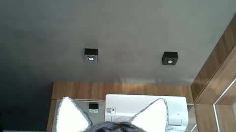 Snapshot of skinnykittencam chatting on 17, 10, 2025 skinnykittencam online show from 17, 10, 2025