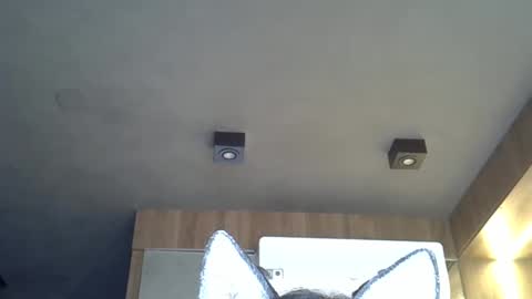 skinnykittencam online show from 2, 11, 2025