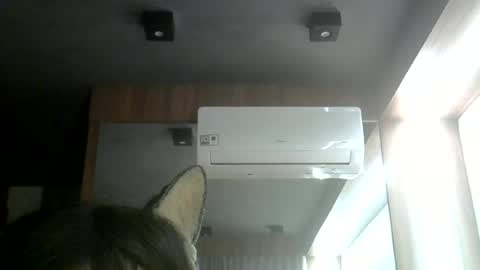 Snapshot of skinnykittencam chatting on 12, 6, 2026 skinnykittencam online show from 12, 6, 2026