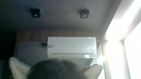 Snapshot of skinnykittencam chatting on 17, 6, 2026 skinnykittencam online show from 17, 6, 2026