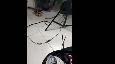 Snapshot of skinnylatin69 chatting on 20, 1, 2025 skinnylatin69 online show from 20, 1, 2025