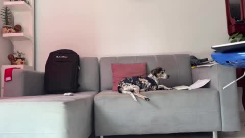 Snapshot of skinnylatin69 chatting on 31, 1, 2025 skinnylatin69 online show from 31, 1, 2025