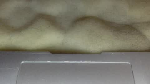 Snapshot of skinnypole6 chatting on 24, 2, 2025 skinnypole6 online show from 24, 2, 2025