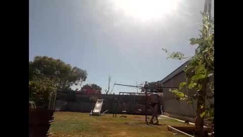 skip1975 online show from 29, 12, 2024