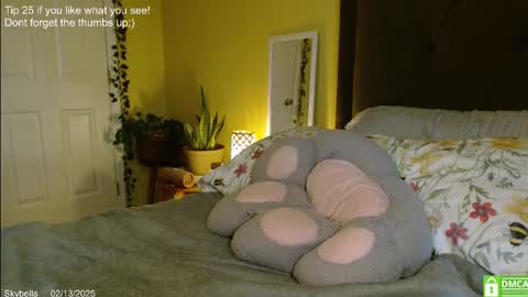 Snapshot of skybella_ chatting on 13, 2, 2025 Skylar online show from 13, 2, 2025
