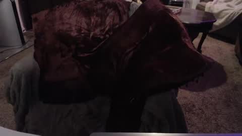 SKYLE   online show from 24, 9, 2025