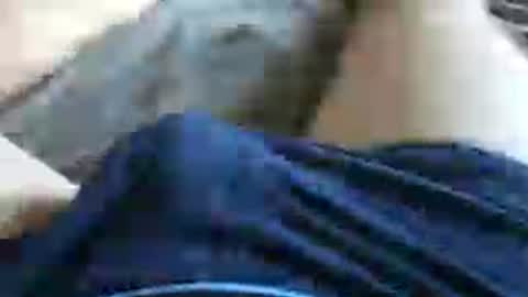 skyblu2031 online show from 13, 7, 2026
