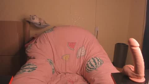 Nika   online show from 20, 1, 2025