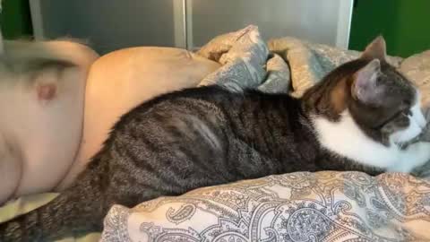 slice5 online show from 30, 4, 2026