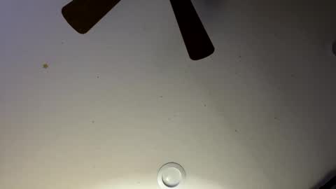 Snapshot of slickdog1969 chatting on 30, 1, 2025 Slickdog online show from 30, 1, 2025