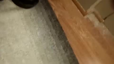 slickdog58 online show from 19, 9, 2025