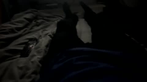 slimboy6900 online show from 23, 2, 2026