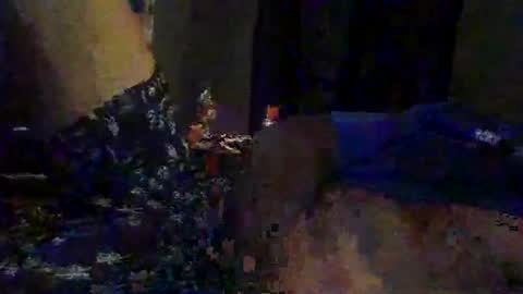 Snapshot of slimeguy315 chatting on 20, 9, 2025 slimeguy315 online show from 20, 9, 2025