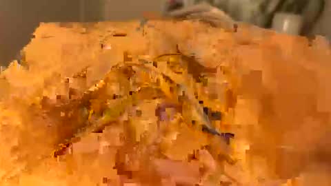 slipmytip online show from 5, 12, 2025