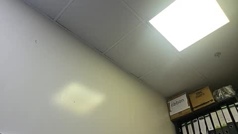 Snapshot of slothslav chatting on 28, 10, 2025 slothslav online show from 28, 10, 2025