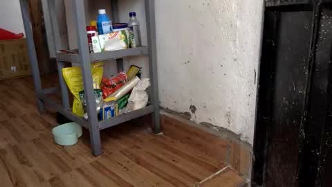 Skillibengisaadboy online show from 7, 2, 2026