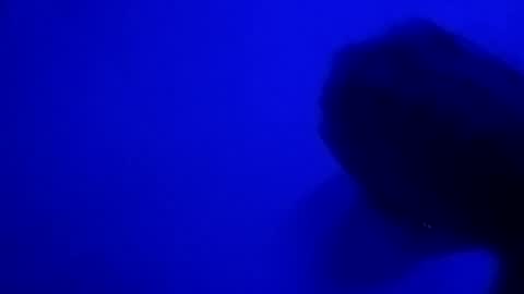 Nastyguurl online show from 28, 6, 2026