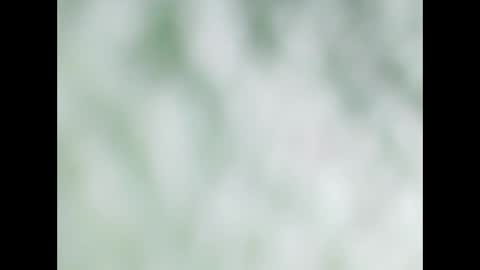 small wood21 online show from 22, 12, 2025