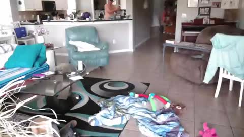 Snapshot of smallpenisbigtongue chatting on 27, 3, 2026 Daddy online show from 27, 3, 2026