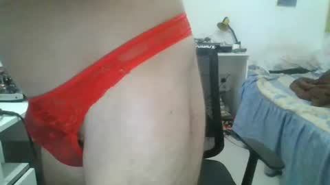 willy online show from 6, 2, 2026