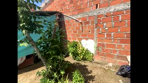 Snapshot of smith_oliver chatting on 8, 12, 2024 Smith online show from 8, 12, 2024