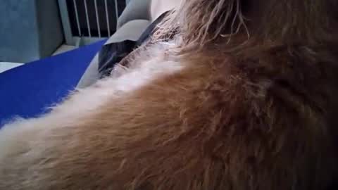 smokynight online show from 26, 9, 2025