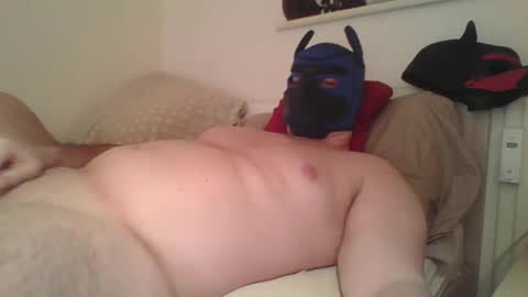 SoftPuppy online show from 12, 1, 2026