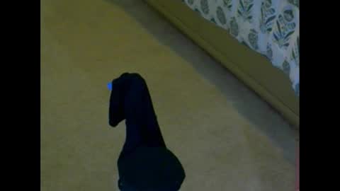 Snapshot of snizniz chatting on 2, 12, 2024 snizniz online show from 2, 12, 2024