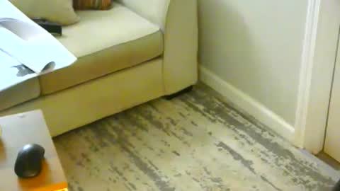 Snapshot of snizniz chatting on 21, 1, 2025 snizniz online show from 21, 1, 2025