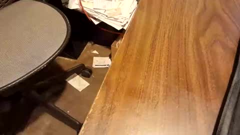 Snapshot of snowboarder699 chatting on 15, 2, 2026 watchmecum online show from 15, 2, 2026