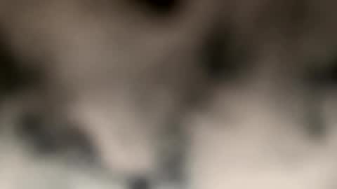 snowbunnyamy online show from 13, 3, 2026