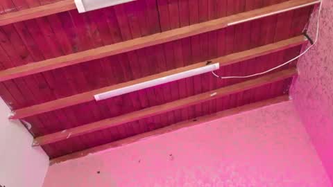 Snapshot of sofia_martinn chatting on 14, 11, 2025 Sofia online show from 14, 11, 2025