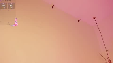 Sofie online show from 15, 2, 2025