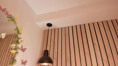 Snapshot of sofiesoft chatting on 11, 1, 2026 Sofie online show from 11, 1, 2026