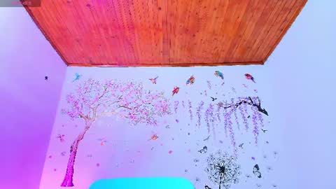 Snapshot of sofiia_diiaz chatting on 14, 6, 2026 Sofa Daz online show from 14, 6, 2026