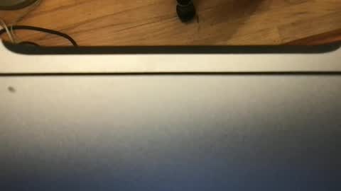 soflastiffyboy69 online show from 13, 11, 2025