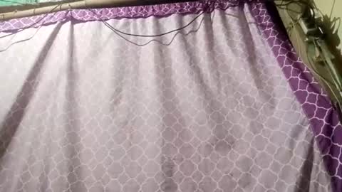 soft_bads online show from 11, 9, 2025