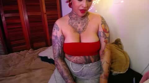 softsin1 online show from 24, 2, 2026