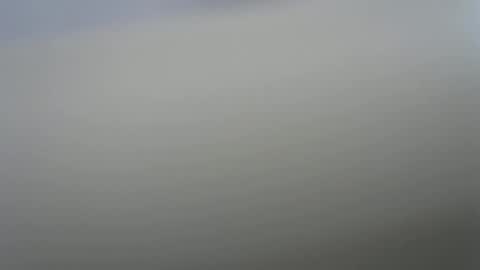 solitariodf2022 online show from 19, 1, 2026