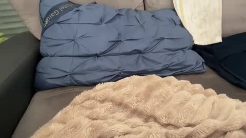 Tayla online show from 28, 2, 2026