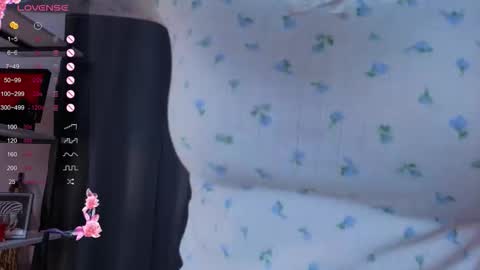 Snapshot of sonia_jones chatting on 5, 11, 2025 Sofia online show from 5, 11, 2025